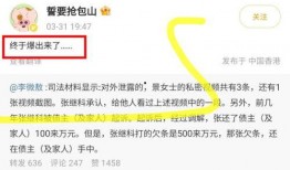 原木之星最新爆料视频,揭秘神秘游戏背后的精彩故事