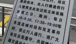 长寿区今日爆料,揭秘当地新鲜事，探寻长寿秘诀