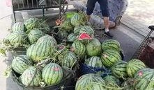 沂水吃瓜网红事件真相,真相背后的网络狂欢与反思